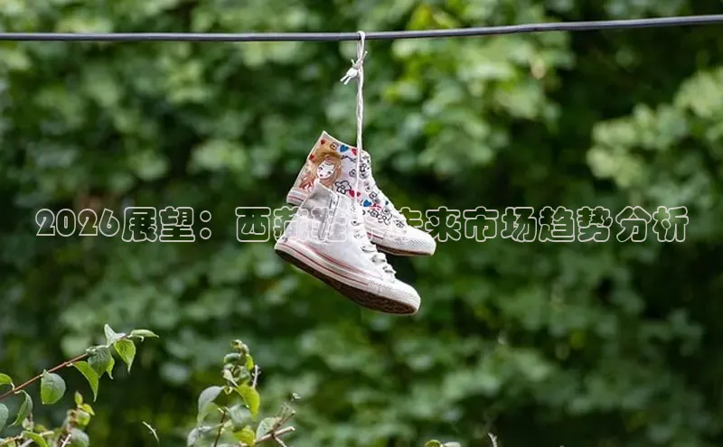 2026展望：西藏鞋子未来市场趋势分析